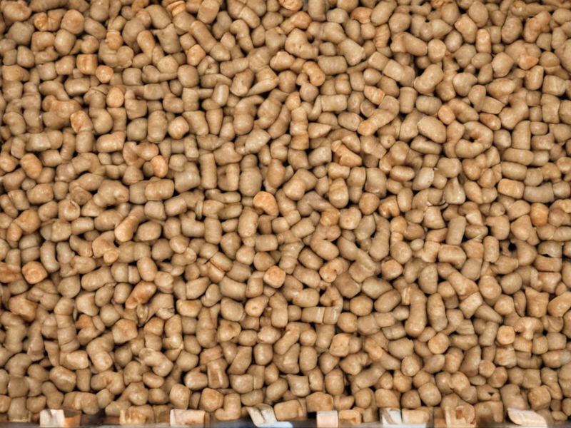 pine wood pellet cat litter