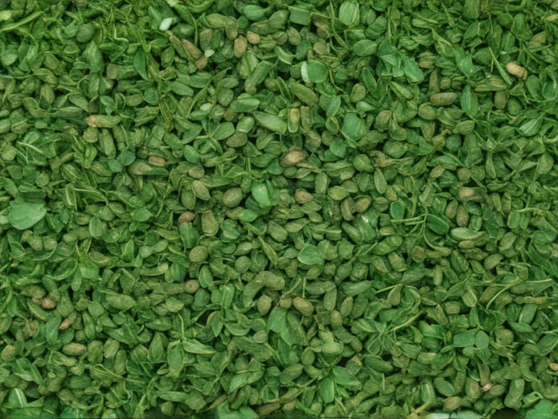 alfalfa pellet fertilizer